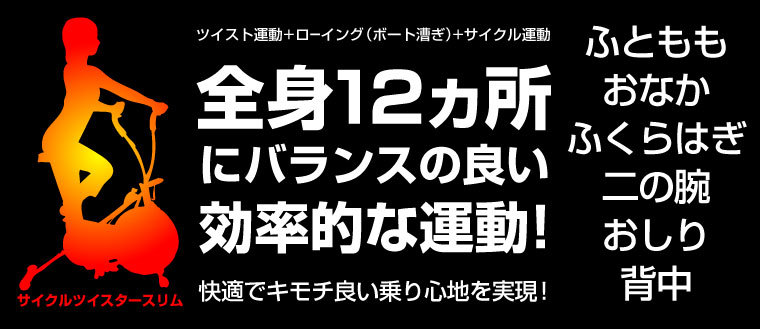 サイクルツイスタースリム